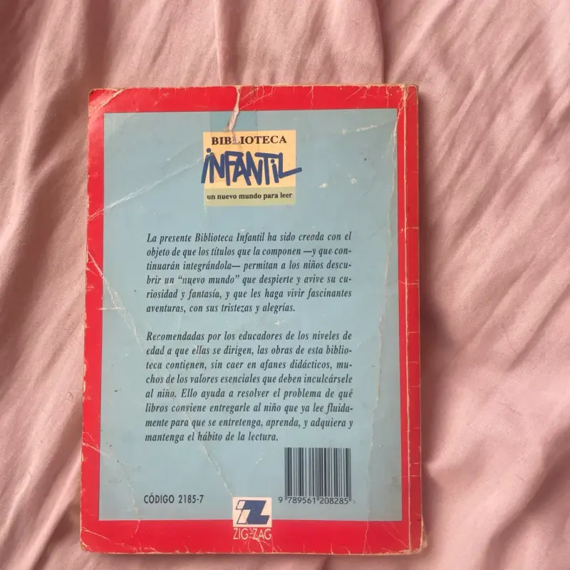 Libro infantil 'La Porota' de Hernán del Solar - 5