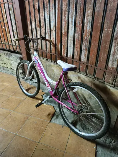 Bicicleta de paseo - Lahsen Maryland 2600 - miniatura 3