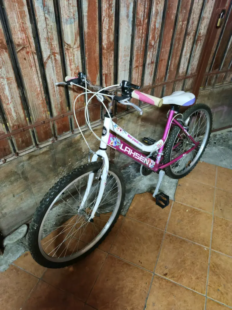 Bicicleta de paseo - Lahsen Maryland 2600 - 4