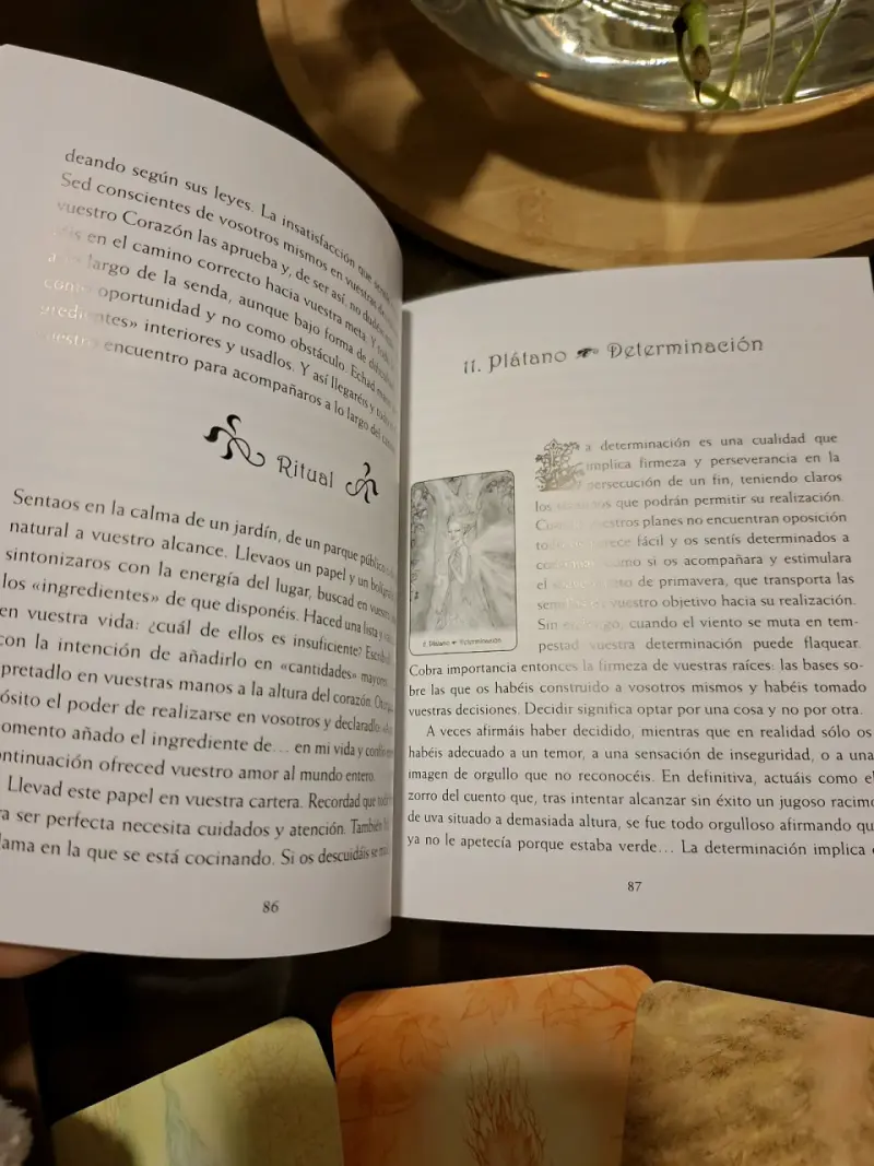 Cartas de las Dríades con Guía de Interpretación - 3