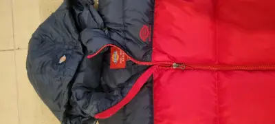Chaqueta acolchada bicolor Dickies con capucha - miniatura 2