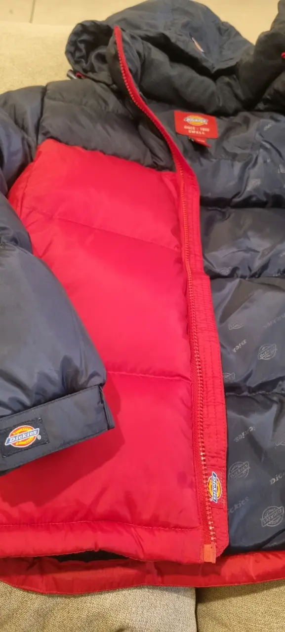 Chaqueta acolchada bicolor Dickies con capucha - 3