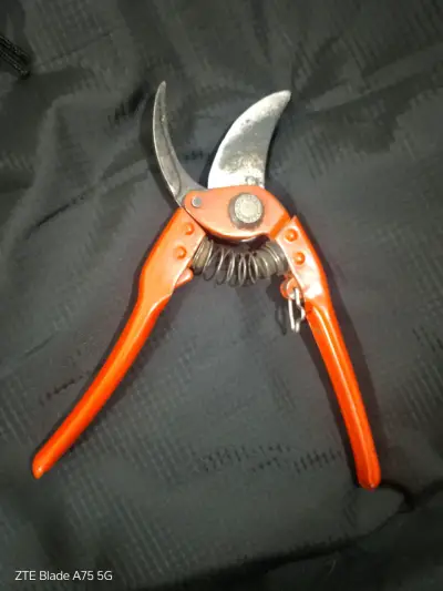 Tijeras de podar tipo bypass marca Bahco (Francia) - miniatura 5