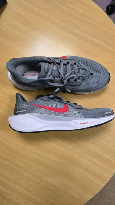 Zapatillas running Nike Air Zoom Pegasus 41 - miniatura 1