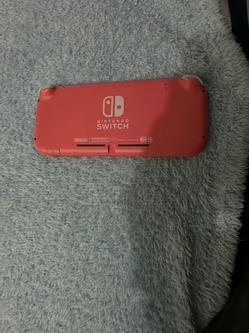 Nintendo Switch Lite con funda - 3
