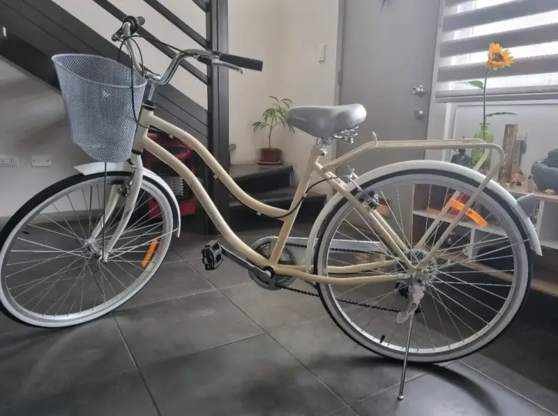 Bicicleta de paseo beige con canasto - 1