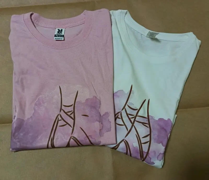 Dos Poleras diseño ballet (Talla 9/10 y Talla S) - 1