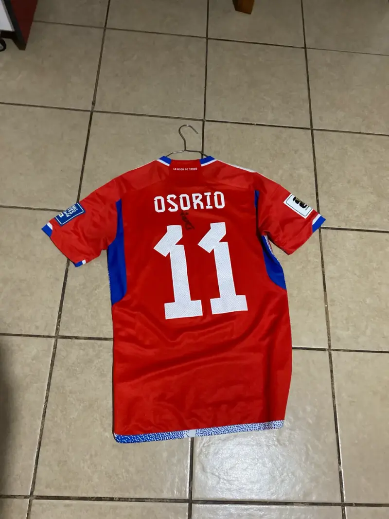 Camiseta Roja Selección Chile Número 11 - 2