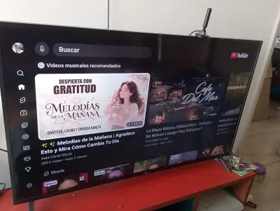 Televisor LG 55 pulgadas modelo 55UN7310PSC - miniatura 5