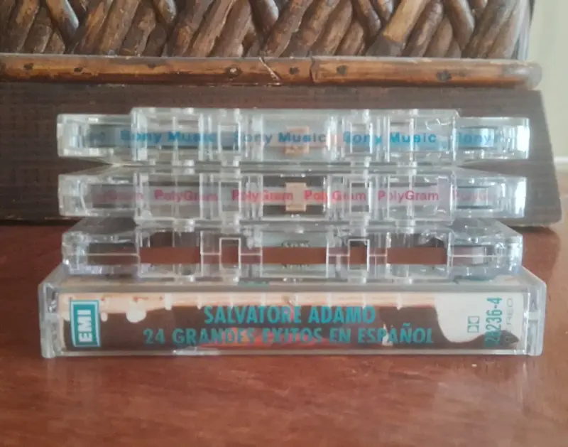 Cassettes de Salvatore Adamo,Abba,Sting,El Gitano - 2