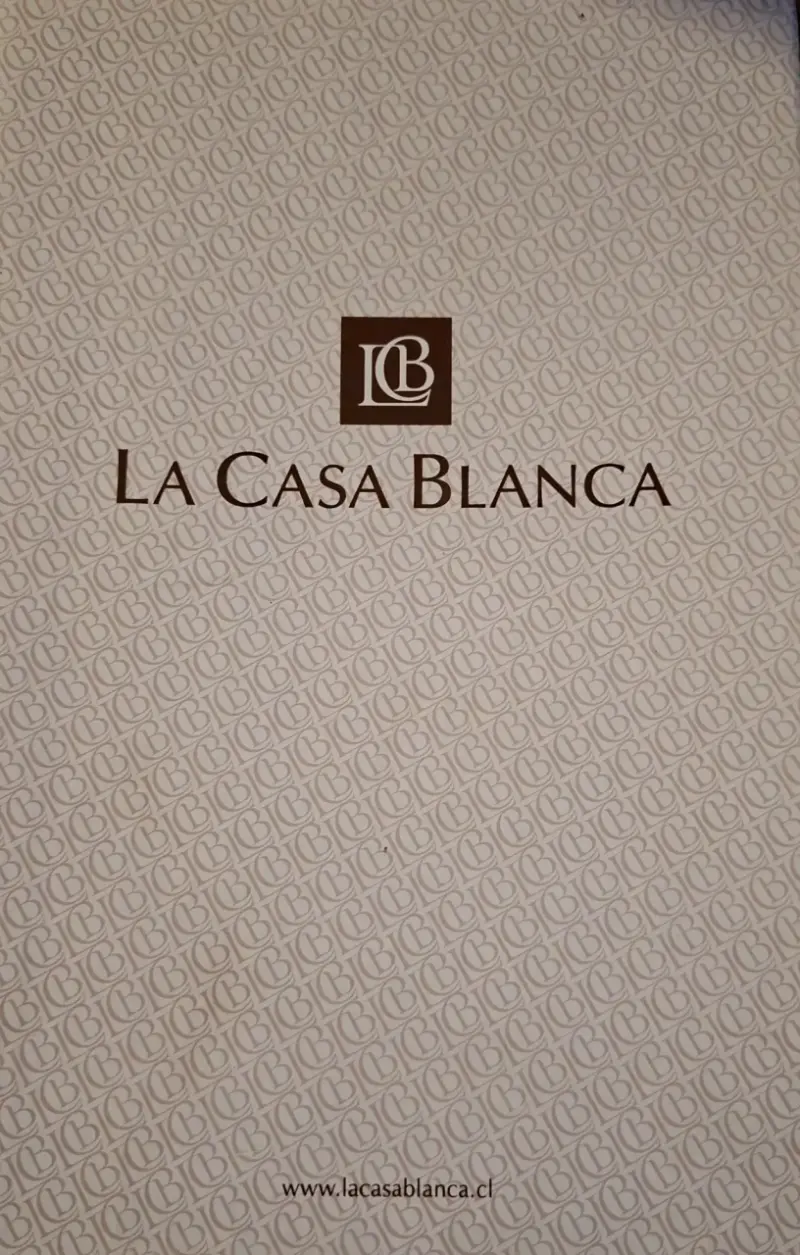 Zapatos de novia con encaje y lazo blanco - 3