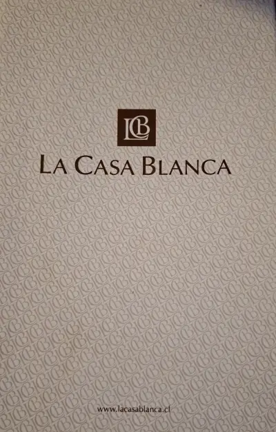Zapatos de novia con encaje y lazo blanco - miniatura 3