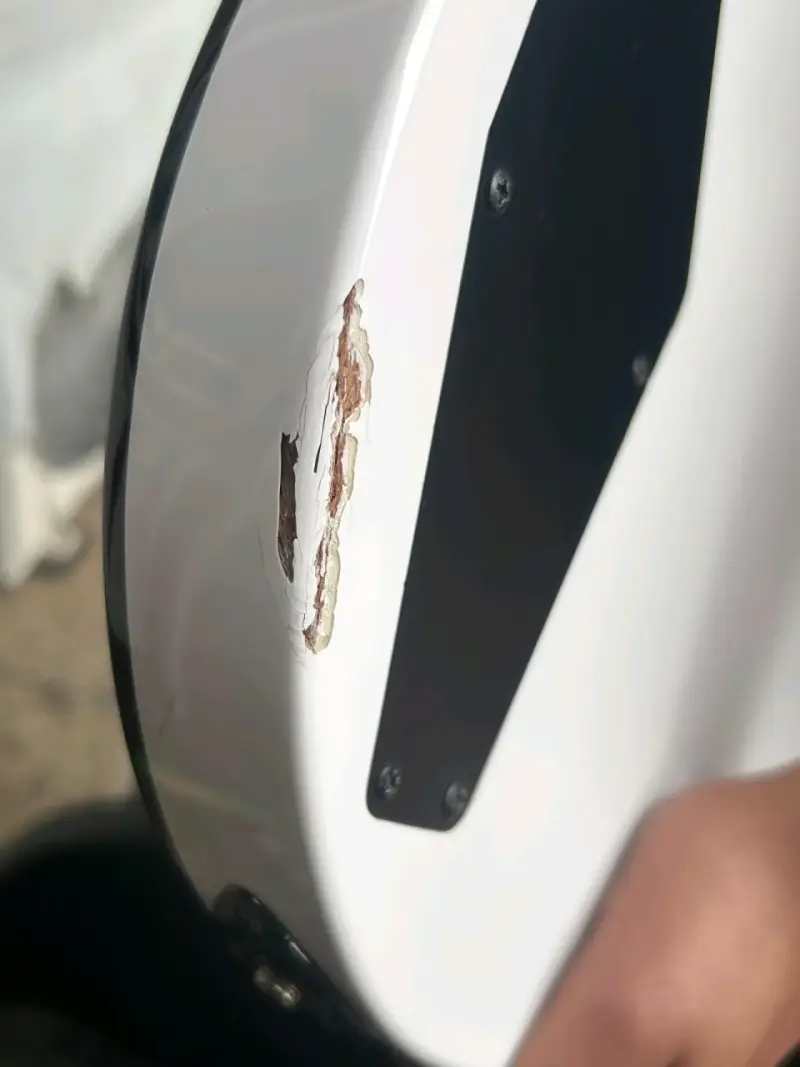 Guitarra Eléctrica LTD EC-256 Blanca - 5