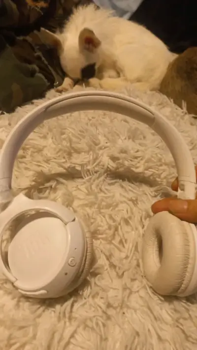 Audífonos JBL blancos con diadema - miniatura 1