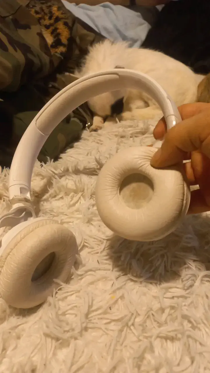 Audífonos JBL blancos con diadema - 4