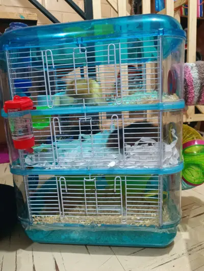 Accesorios para Hámster Sirios - miniatura 2