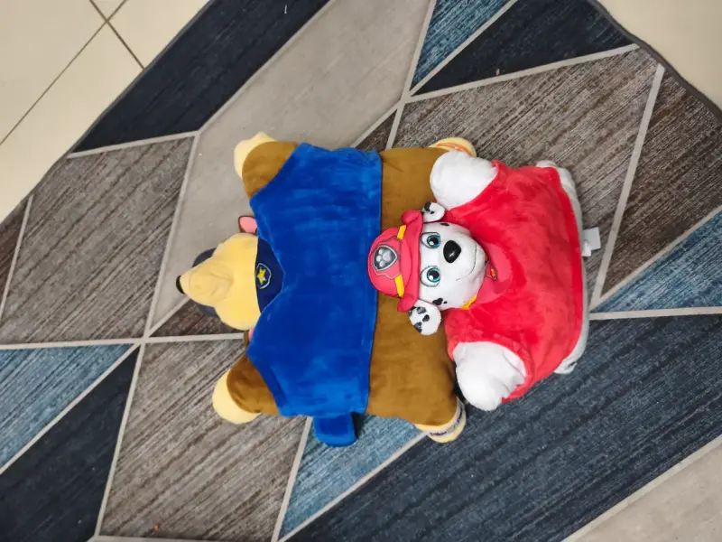Cojines de peluche Paw Patrol Chase y Marshall - 2