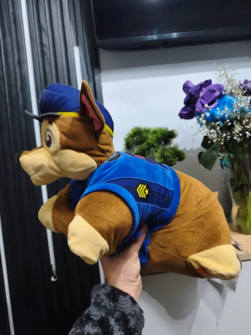 Cojines de peluche Paw Patrol Chase y Marshall - 3
