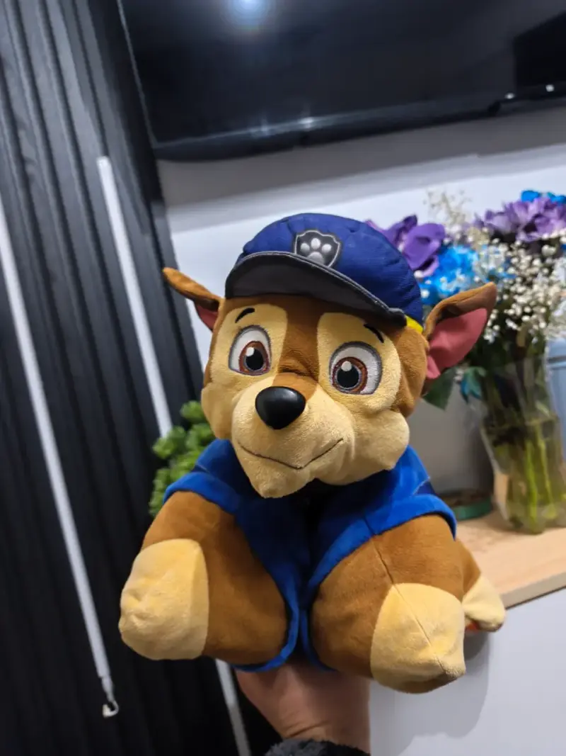 Cojines de peluche Paw Patrol Chase y Marshall - 4