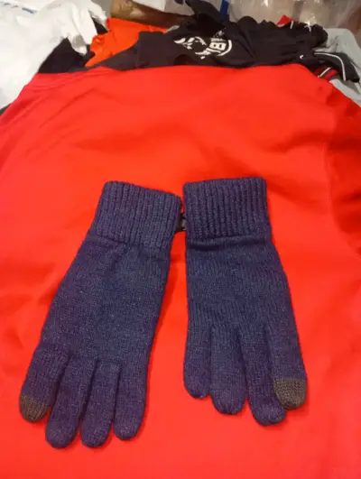 Guantes de lana azul The North Face para invierno - miniatura 1