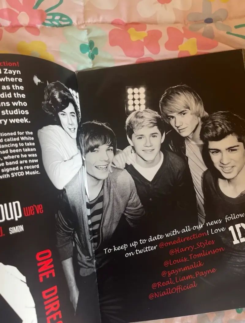 Programa del Tour 2011 de The X Factor - 3