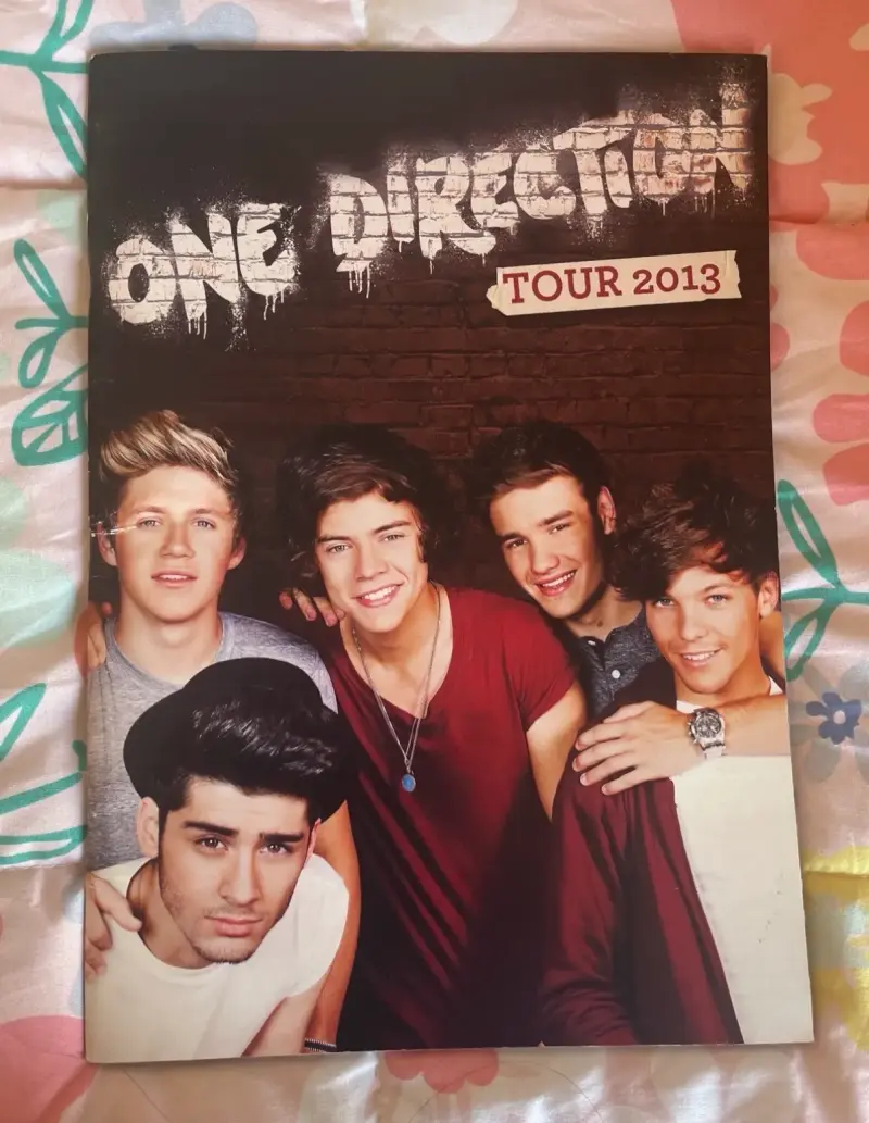 Programa de gira One Direction Tour 2013 - 1