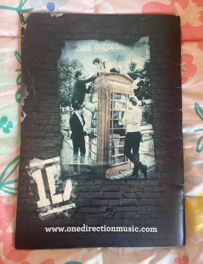 Programa de gira One Direction Tour 2013 - 2