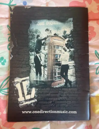 Programa de gira One Direction Tour 2013 - miniatura 2