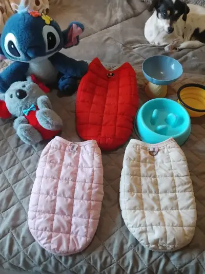 Conjunto de abrigos y juguetes para mascotas - miniatura 1