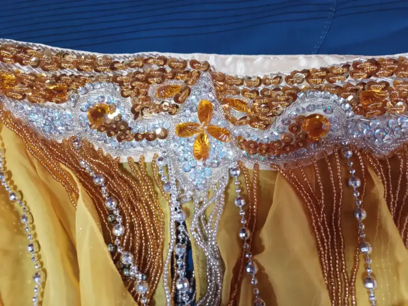 Conjunto de Danza Árabe con detalles Dorados - 5