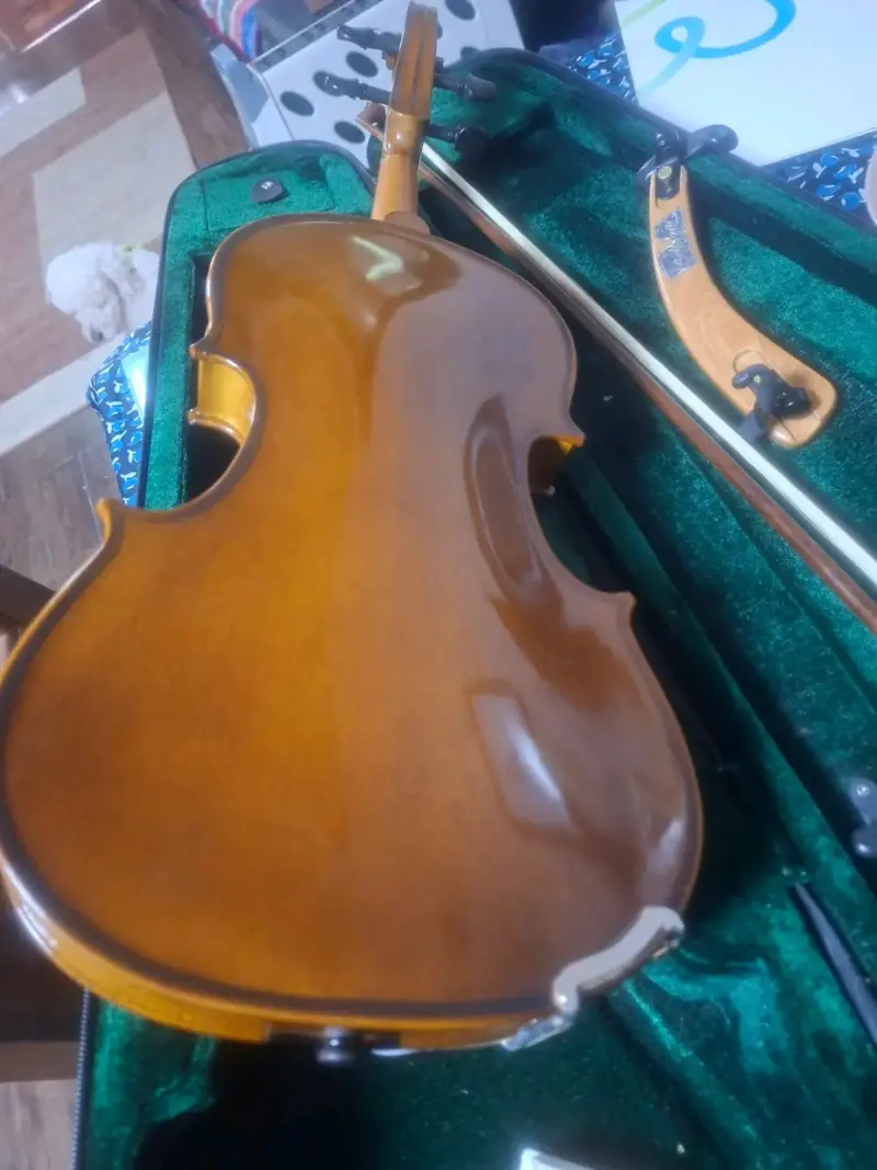 Violín acústico con estuche y arco - 5
