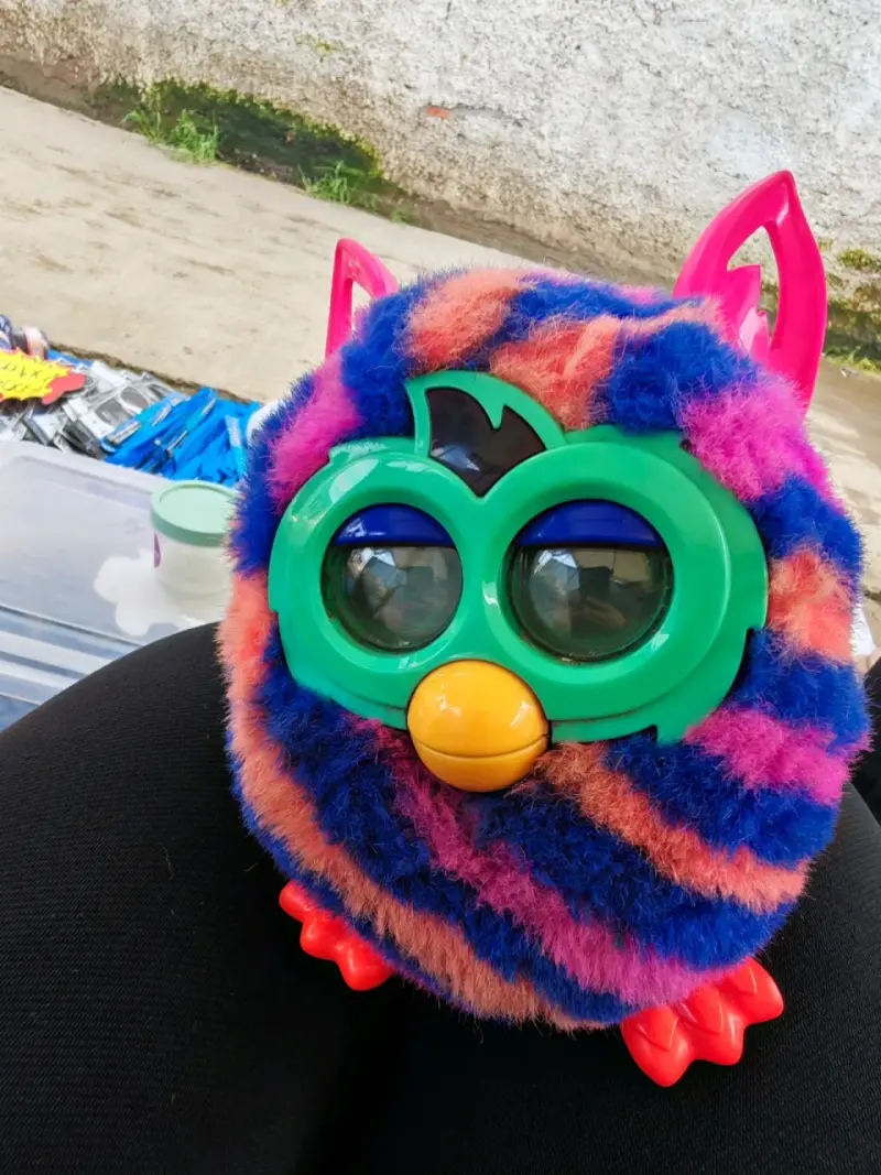 Furby boom