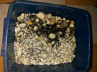 Acuario grande 300 litros con mueble de madera - miniatura 5