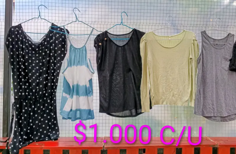 Lote de ropa femenina variada - 6