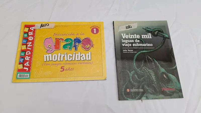 Lote de libros variados para adultos y niños