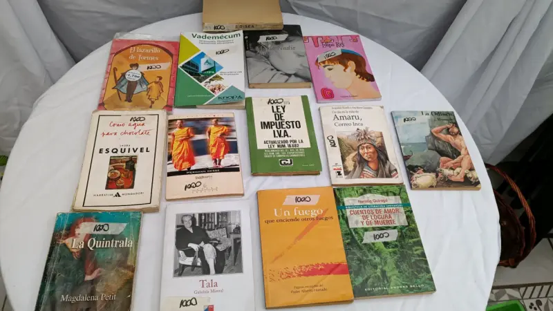 Lote de libros variados para adultos y niños - 3