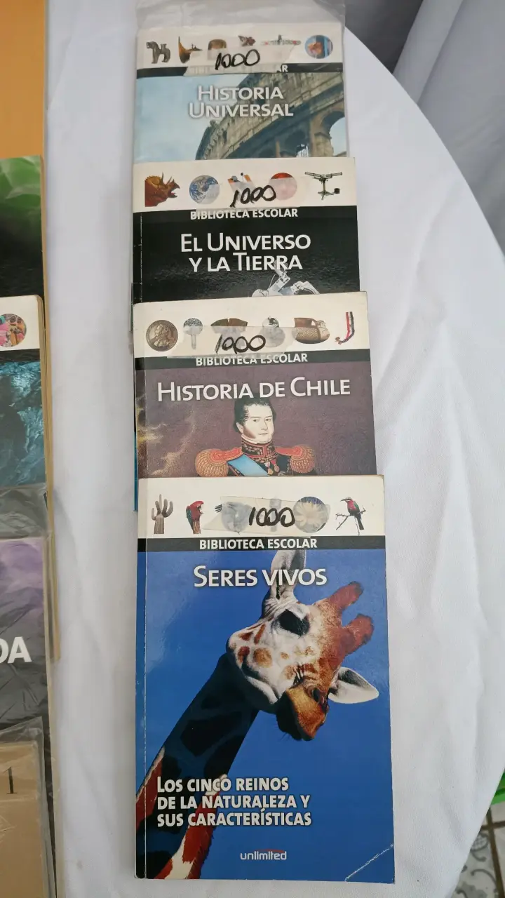 Lote de libros variados para adultos y niños - 4