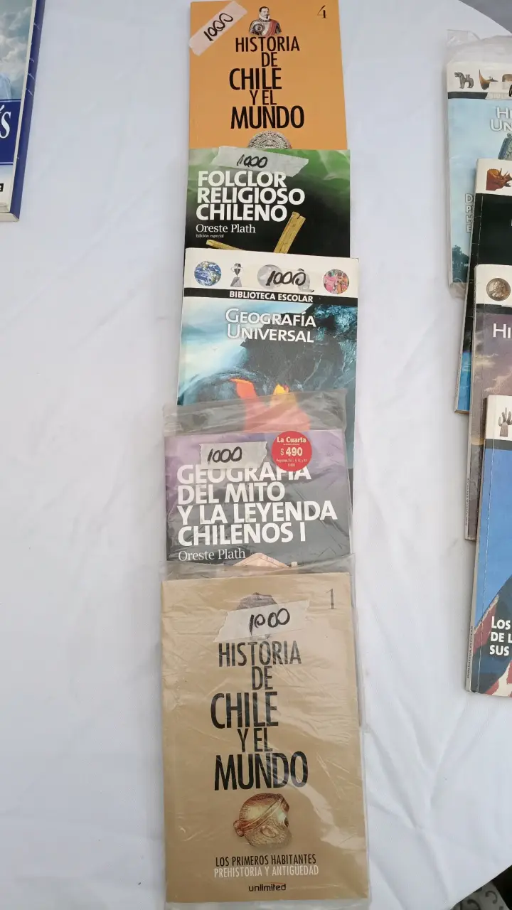 Lote de libros variados para adultos y niños - 5
