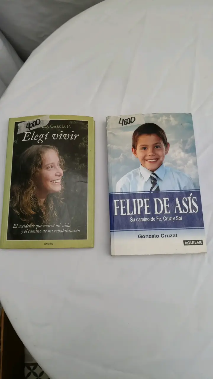 Lote de libros variados para adultos y niños - 6
