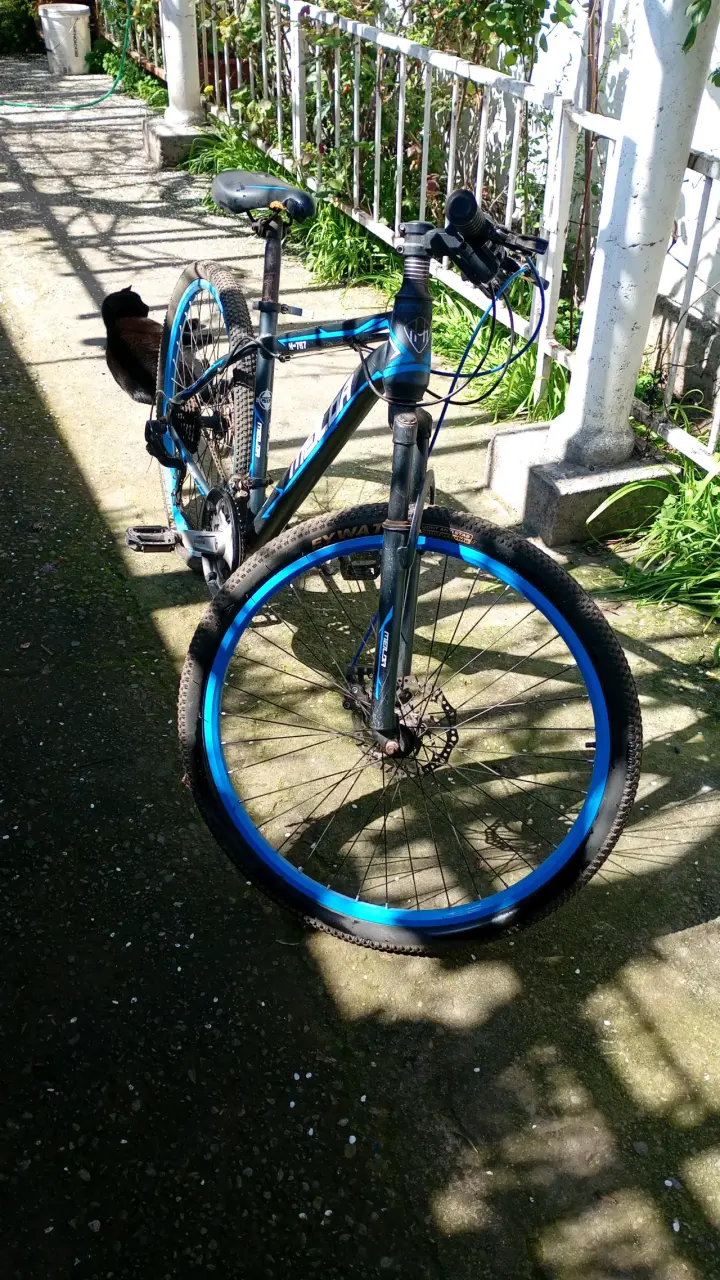 Bicicleta de montaña con llantas azules - 3