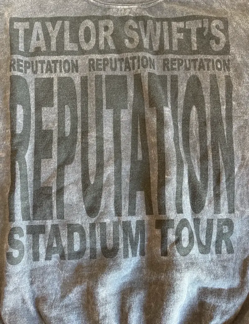 Polerón Taylor Swift's Reputation Tour gris - 2