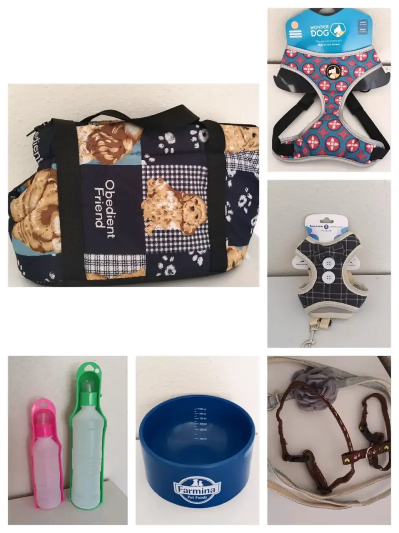 Set de accesorios para mascotas Obedient Friend