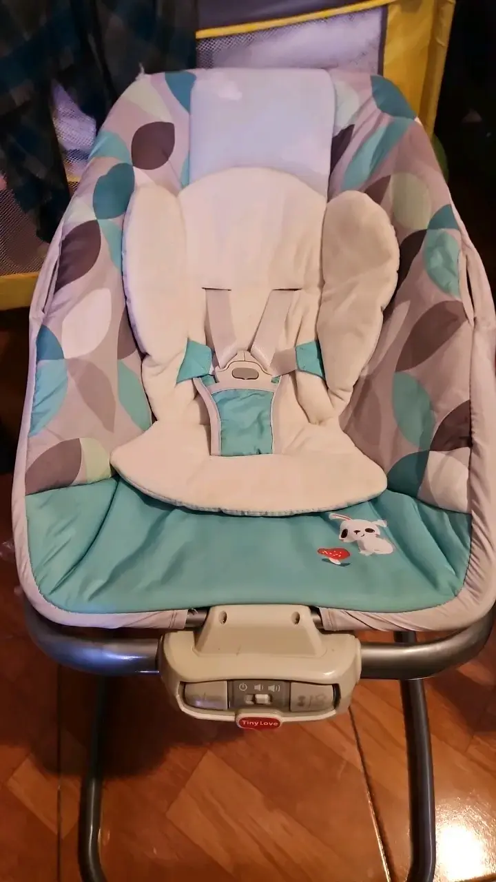 Silla mecedora para bebé Tiny Love - 2