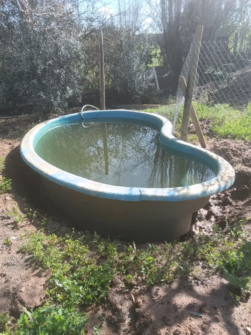 Piscina de fibra de vidrio usada - 3