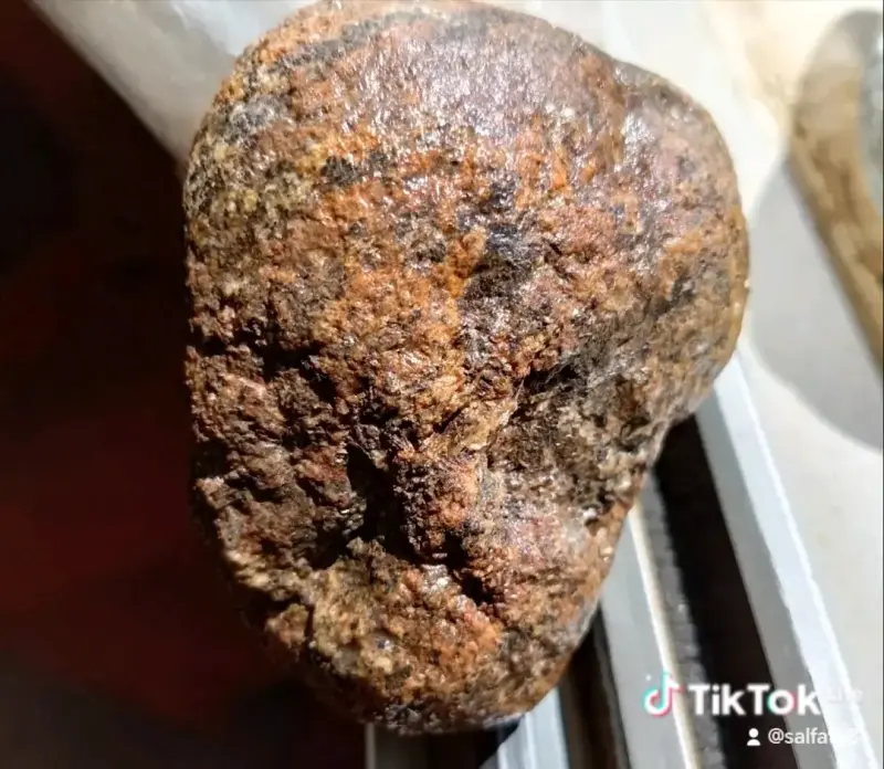 Petifricado con núcleo de oro - 3
