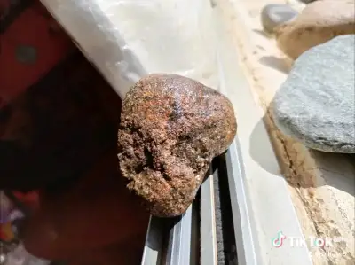 Petifricado con núcleo de oro - miniatura 4