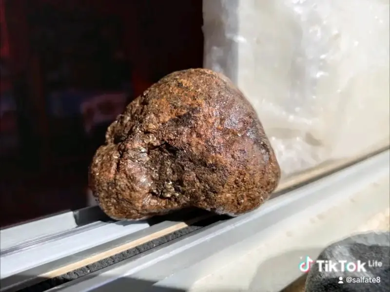Petifricado con núcleo de oro - 5