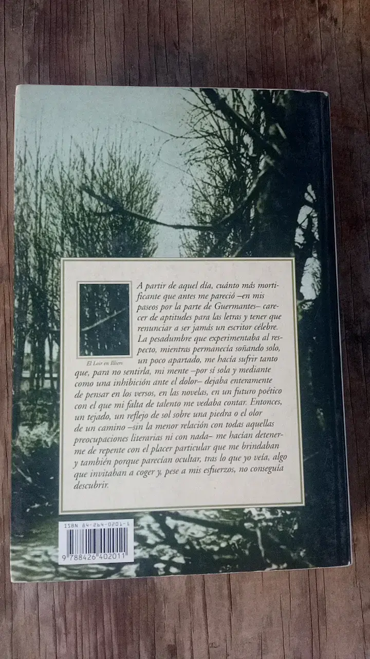 Libro 'En Busca del Tiempo Perdido' de Marcel Proust - 2