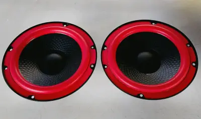 Parlantes  de 8 pulgadas - miniatura 1