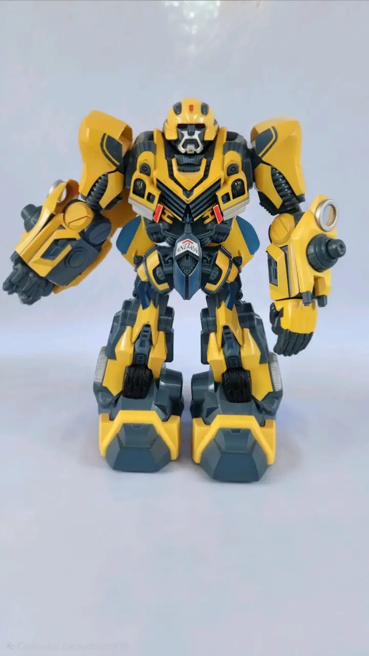 Retro Bumblebee Ultimate 2006 - 1